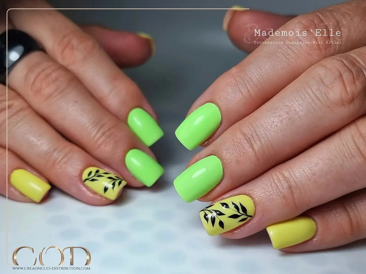 My Color Brasilia