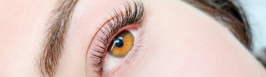 Comment choisir ses extensions de cils Volume Russe ? Guide complet pour les techniciennes du regard